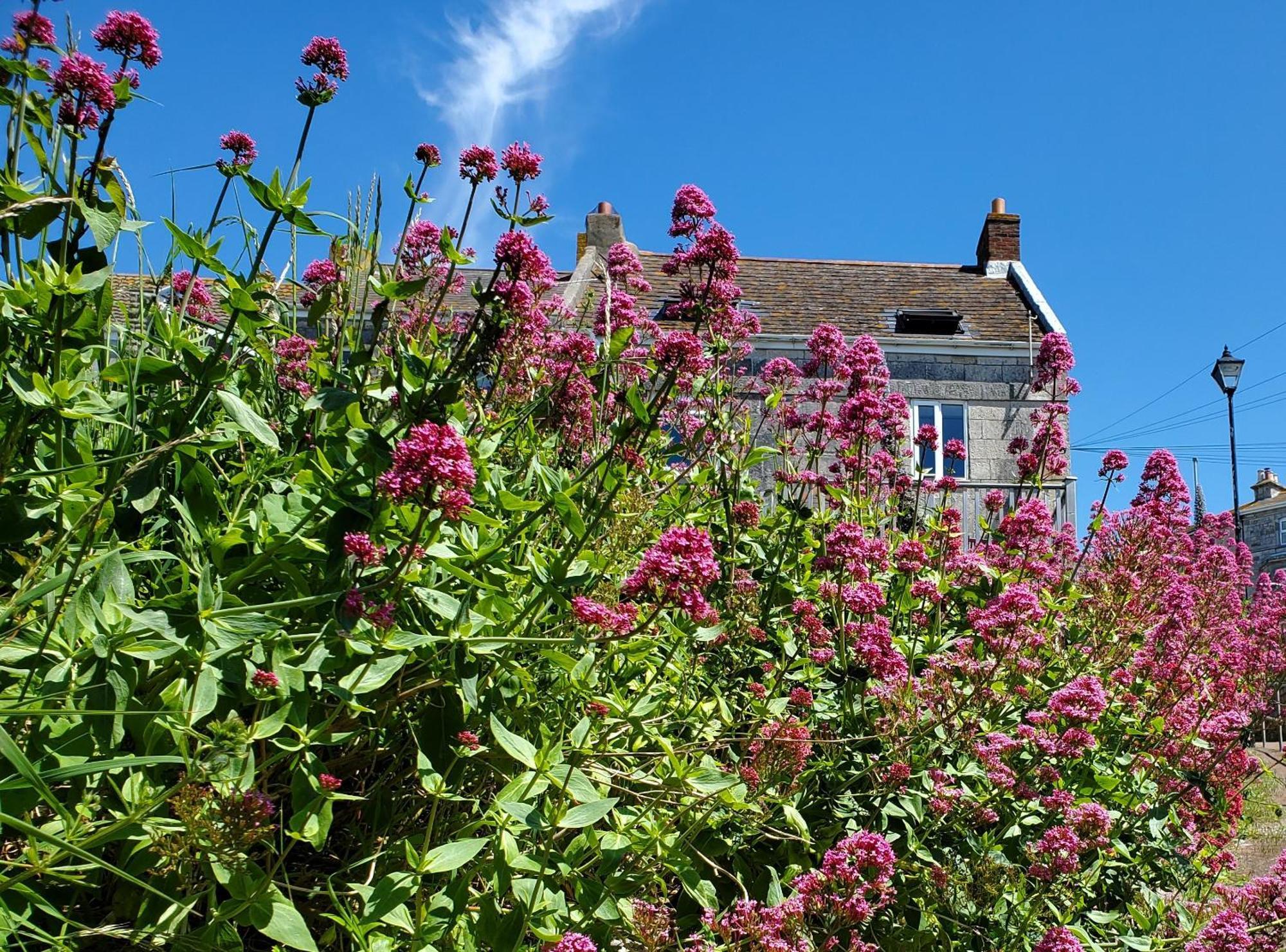 Sea View Cottage Portland Extérieur photo